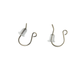 Titanium Hook Earrings (with Silicone Backs) (2 pcs)